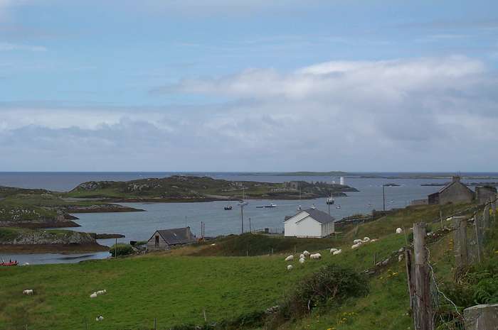 Inishbofin - looking down on the harbour