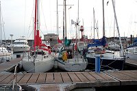 Vega sandwich at Kilmore Quay